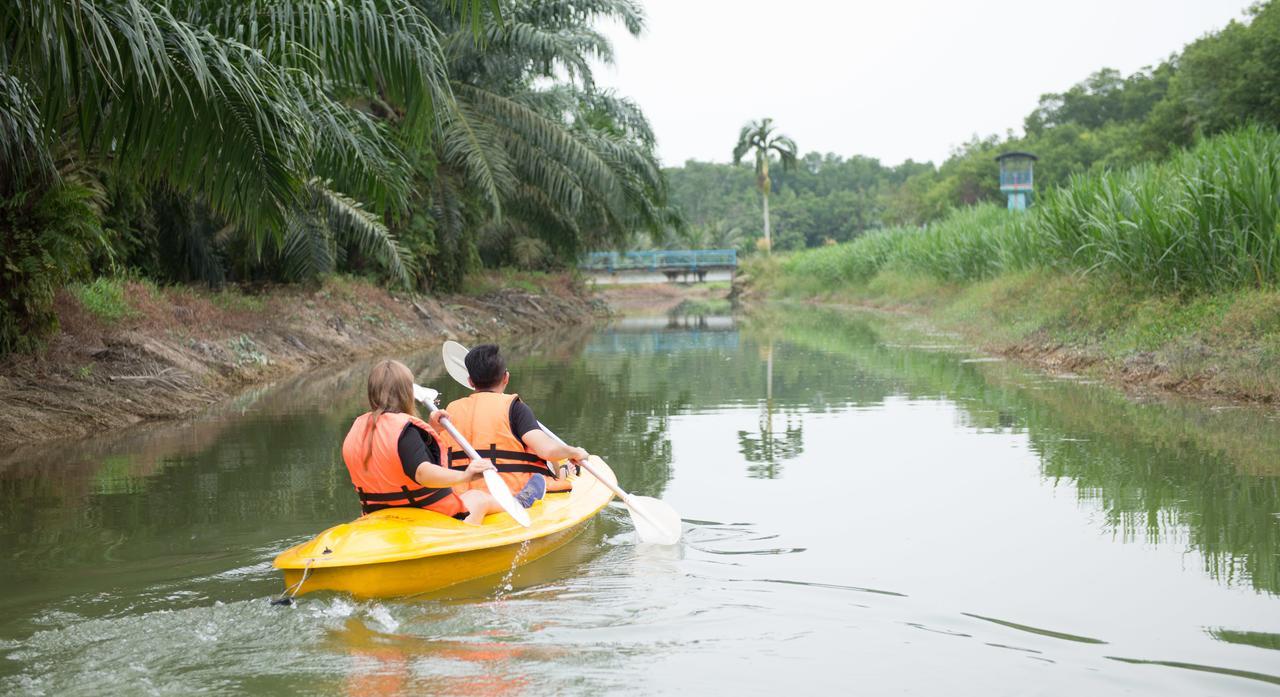 Sinar Eco Resort Kampong Bukit Panjang Экстерьер фото