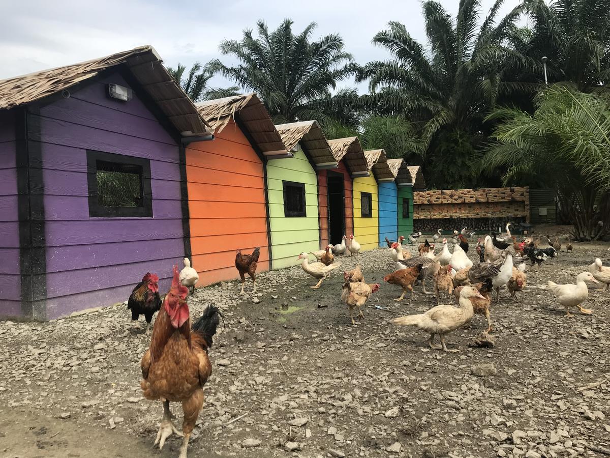 Sinar Eco Resort Kampong Bukit Panjang Экстерьер фото