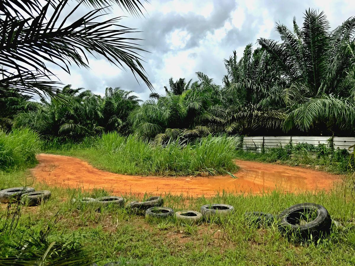 Sinar Eco Resort Kampong Bukit Panjang Экстерьер фото